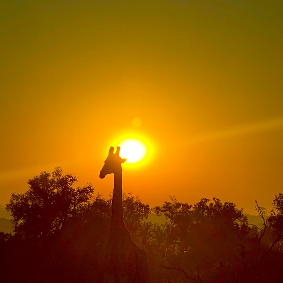 Meet your Posher, Cindy - Picture 1 of 1